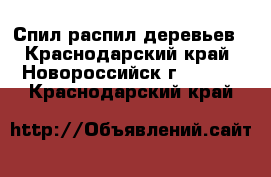 Спил распил деревьев - Краснодарский край, Новороссийск г.  »    . Краснодарский край